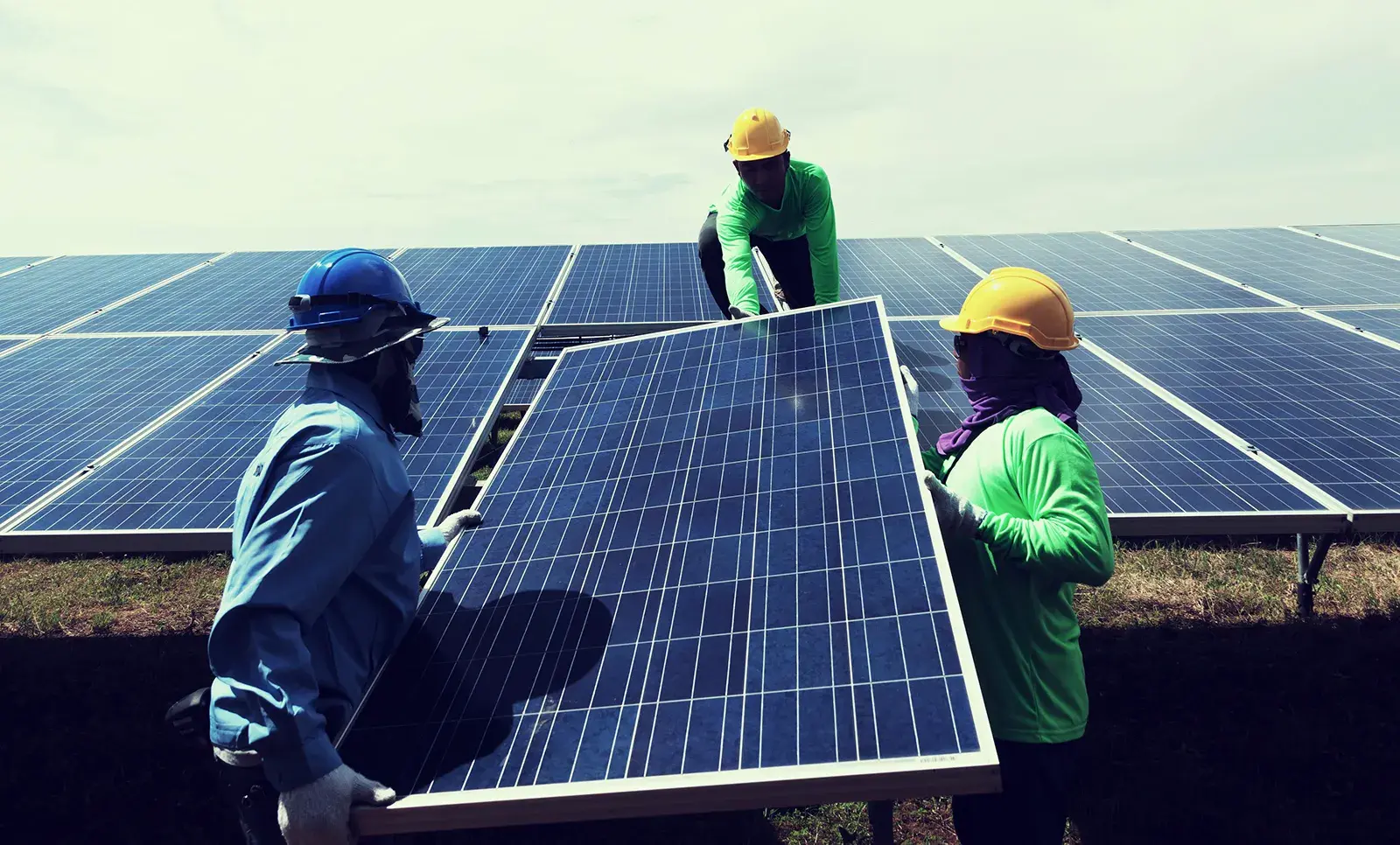 felicity solar products